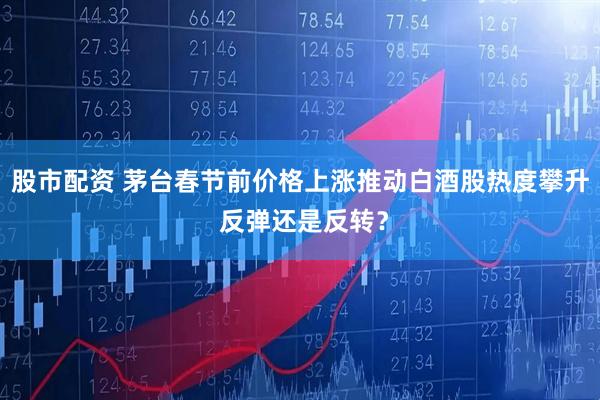 股市配资 茅台春节前价格上涨推动白酒股热度攀升 反弹还是反转？