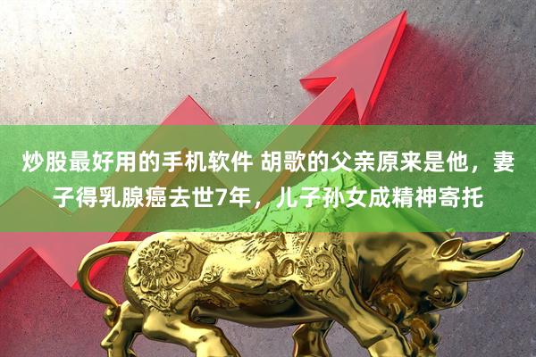 炒股最好用的手机软件 胡歌的父亲原来是他，妻子得乳腺癌去世7年，儿子孙女成精神寄托