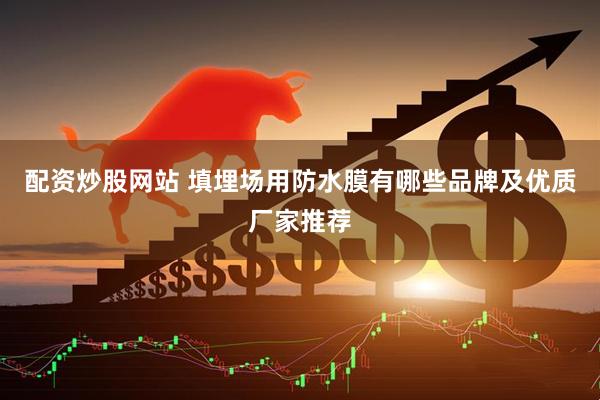 配资炒股网站 填埋场用防水膜有哪些品牌及优质厂家推荐
